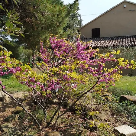 La Casa Delle Lune Casa di campagna *