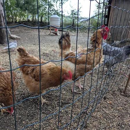 La Casa Delle Lune Casa di campagna Mombaroccio