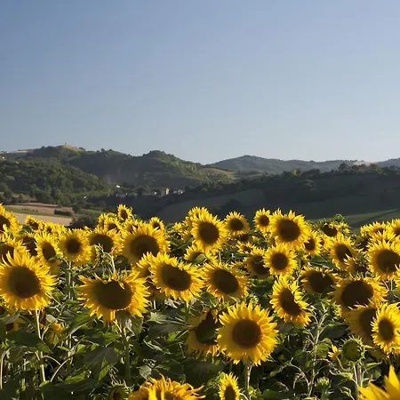 Casa di campagna La Casa Delle Lune *